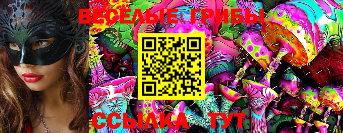 Псилоцибиновые грибы MAGIC MUSHROOMS  Галлюциногенные грибы GOLDEN TEACHER  Кудрово  Вход с VPN 