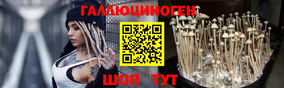 Псилоцибиновые грибы мухоморы Кудрово