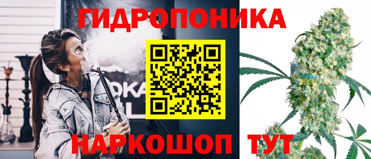 Канабис семена  Вход с VPN  Бошки Шишки планчик  Канабис SATIVA & INDICA  Кудрово 